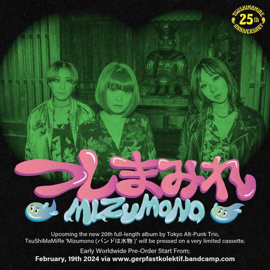 つしまみれ バンドは水物 LP Mizumono (バンドは水物) | TsuShiMaMiRe (つしまみれ