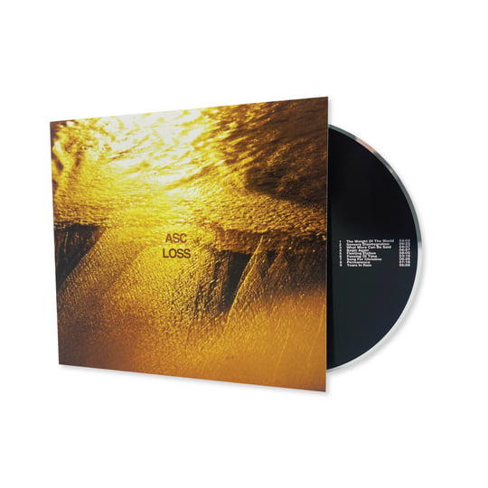 Loss | ASC | Past Inside the Present