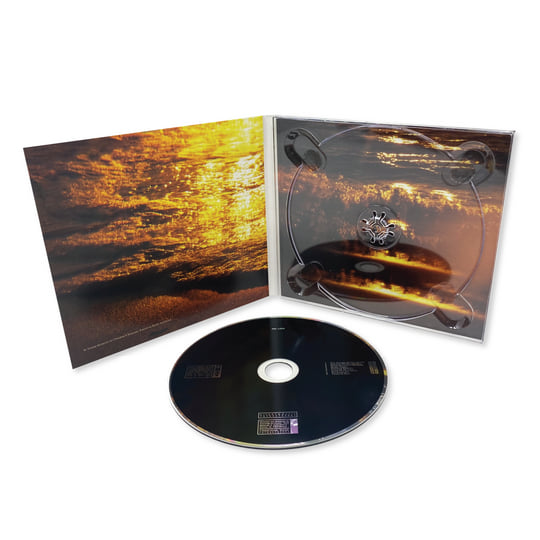 Loss | ASC | Past Inside the Present