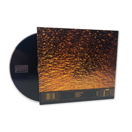 Loss | ASC | Past Inside the Present