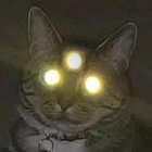 James Whitfield  thumbnail