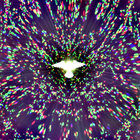 BeDamSure thumbnail