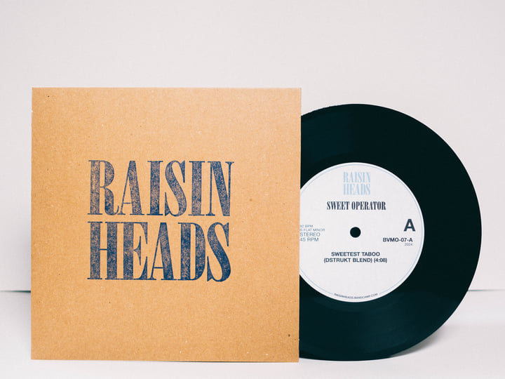 Sweet Operator | DSTRUKT | Raisin Heads Records