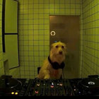 nozitfoo thumbnail