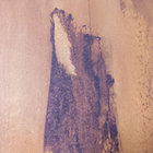 robert_mosey thumbnail