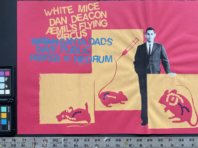Dan Deacon, White Mice, Amil's Flying Circus, Dave Public, Santa Dads @ Redrum, Providence main photo