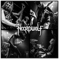 Necrowolf