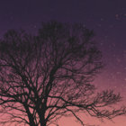 RAH thumbnail
