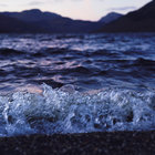 still_water thumbnail