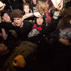 sassox thumbnail
