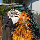 Jolene thumbnail