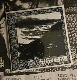 Wormwitch / Sadistic Ritual SPLIT Ecopack CD, image 1