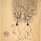 Electro-Soma II | B12 | Warp Records