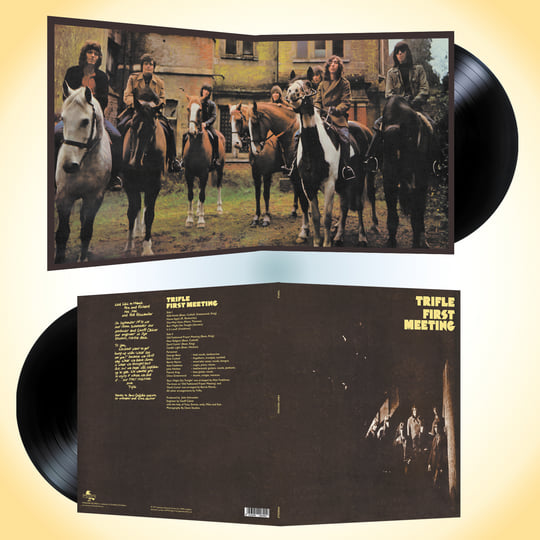 LP Trifle First Meeting WISE02 Wiseraven 未開封 /00400 First Meeting | TRIFLE | WISERAVEN RECORDS