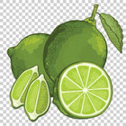 Bluelime thumbnail