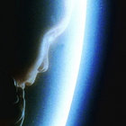 dullwood thumbnail