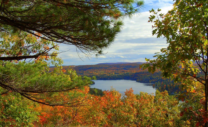 Algonquin Provincial Park Lookout Trail Hardwood Lookout Trail