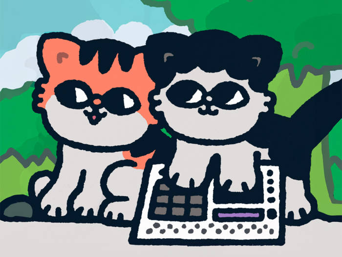 Opening Hour At The Cat Café | catbeats