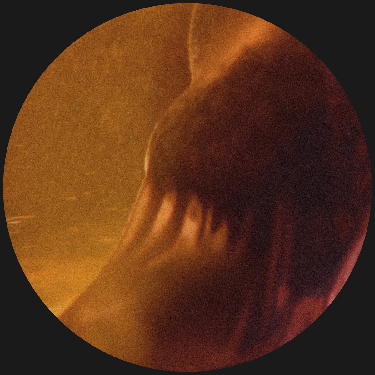 V+1005V Augment EP | Scalameriya | Void+1 Recordings