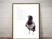Bewildered Art Print: The Crow photo 