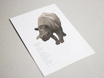 Bewildered Art Print: The Rhinoceros main photo
