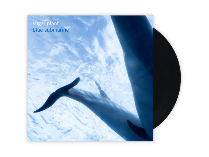 blue submarine | sugar plant | KiliKiliVilla