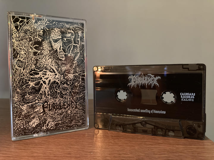 Transcendent Unveiling of Dimensions | Purulency
