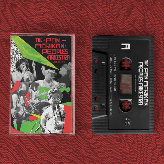 Pan Afrikan Peoples Arkestra live in NYC | Pan Afrikan Peoples