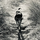 Billionaire | Kathleen Edwards