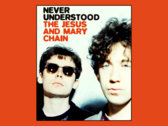Never Understood: The Story of The Jesus and Mary Chain by William and Jim Reid photo 