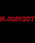 Bloodroot image