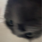 bernie thumbnail