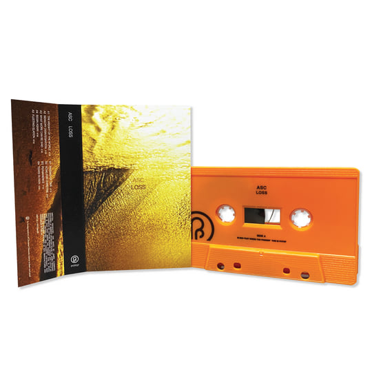 Loss | ASC | Past Inside the Present