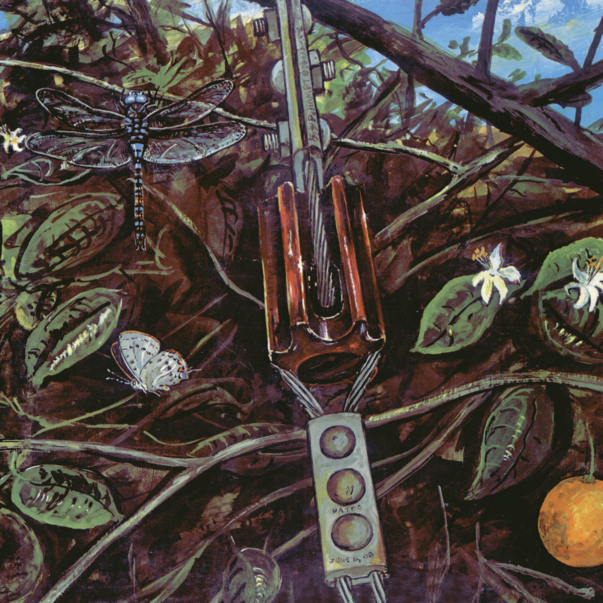 DRAGONFLY LP レコード Psychedelic Rock レア DRAGONFLY - Dragonfly · Black LP | Guerssen Records