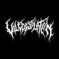 VILE DESOLATION image