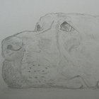 Jasper1940 thumbnail