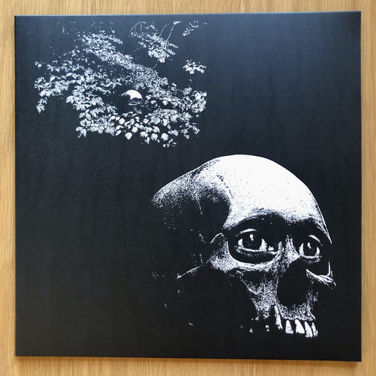 A Foul Form | Osees