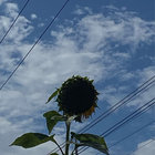 の thumbnail