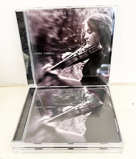 Quick Sparrows Over the Black Earth | Laura Cannell | Brawl Records