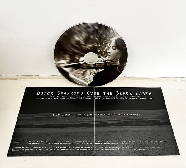 Quick Sparrows Over the Black Earth | Laura Cannell | Brawl Records