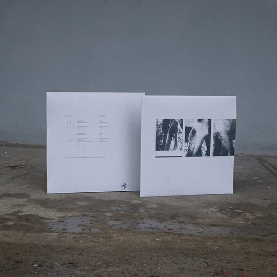 Veneer of Tolerance Remixes | JK Flesh