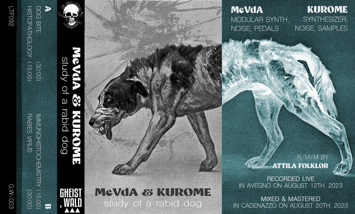 Study Of A Rabid Dog | MeVdA & Kurome | L'è Tütt Folklor Records