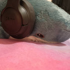 kira_smol thumbnail