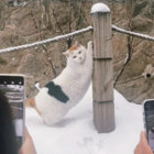 nowaleksandria thumbnail