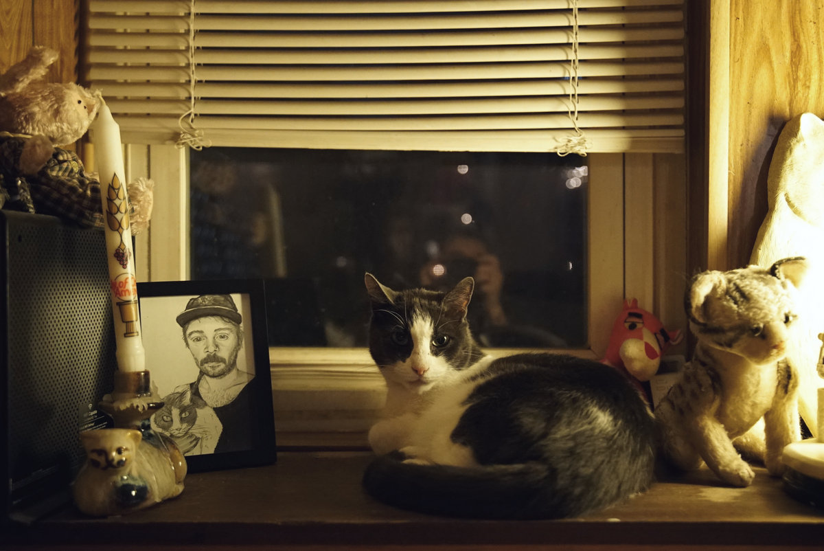 Master Plan Shelf Life