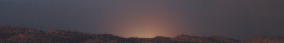 Cowboy Sadness — Photo