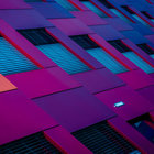 Penelope Polak thumbnail