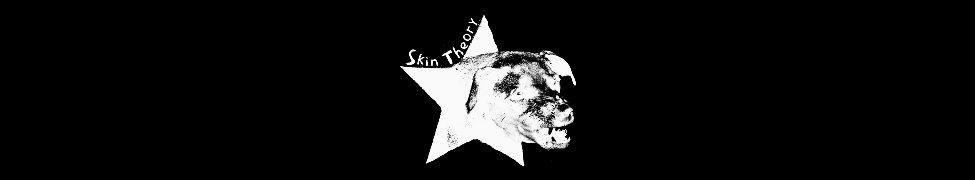 Skin Theory — Photo