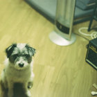 kactuskoolant thumbnail
