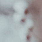 ◌ thumbnail